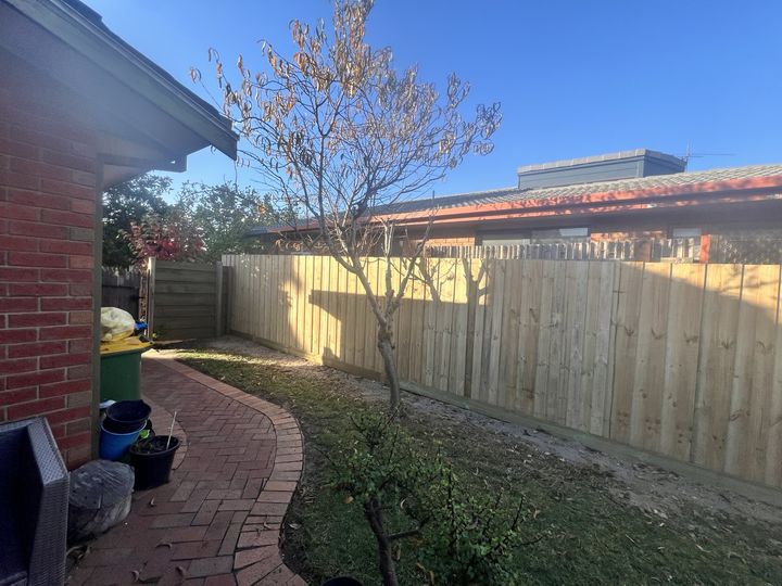 Timber backyard fence by HD Fencing